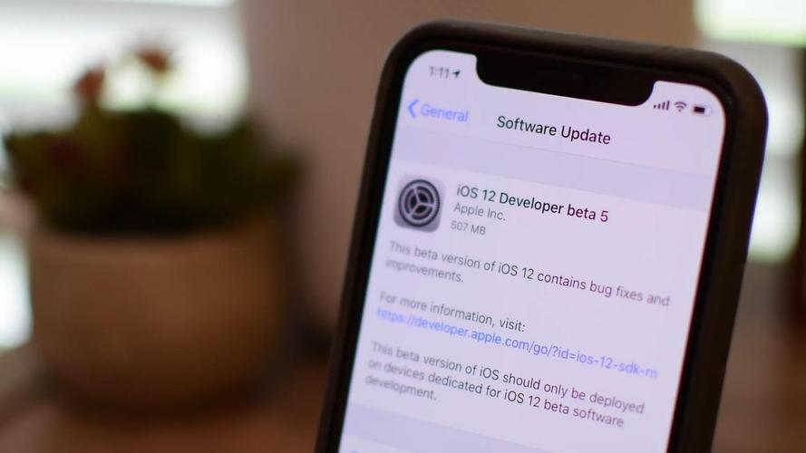 ios12更新-iOS12需要更新吗？