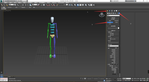 骨骼绑定-3DMAX骨骼建立或绑定？