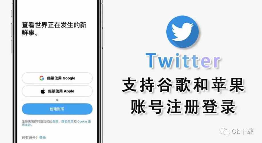 国内上twitter-twit怎么登录？