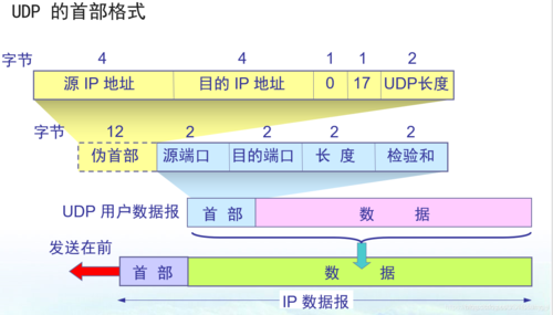 445端口-udp445端口是什么？